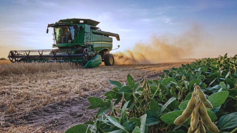 Imagen de la noticia 1